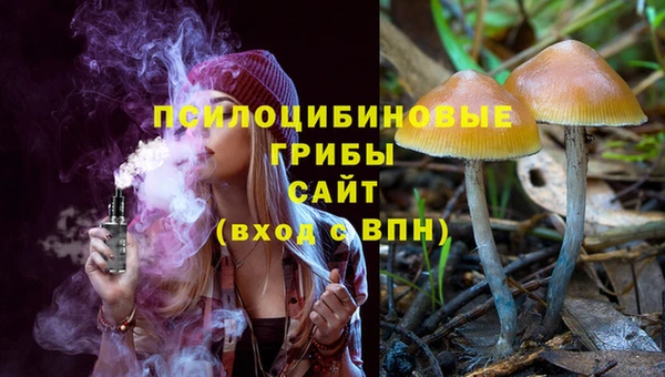 мескалин Алексин