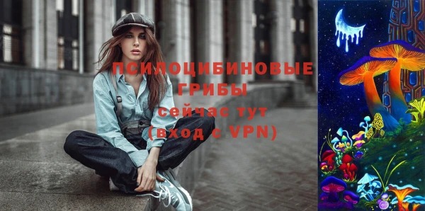 мескалин Алексин