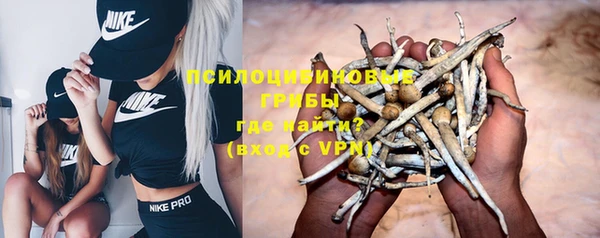 дживик Алексеевка