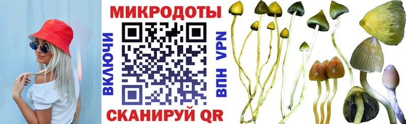 Псилоцибиновые грибы прущие грибы  мориарти клад  Юрьевец 
